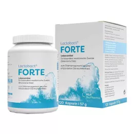 Cápsulas gastrorresistentes Lactobact Forte, 120 piezas