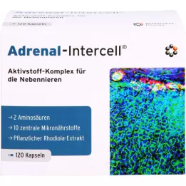 ADRENAL-Intercell Cápsulas, 120 Cápsulas