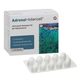 ADRENAL-Intercell Cápsulas, 120 Cápsulas