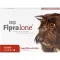 FIPRALONE 134 mg Solución oral para perros medianos, 4 uds