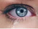 Instructions for use for Artelac Complete MDO gotas para los ojos secos / llorosos, 60X0,5 ml - 5
