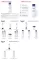 Instructions for use for Eucerin UreaRepair Loción Original 3%, 250 ml - 2
