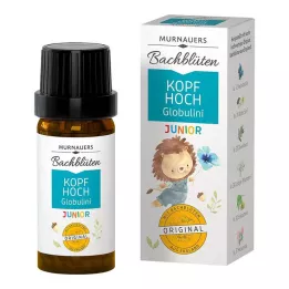BACHBLÜTEN Murnauers Childrens Head Up Globulini, 10 g