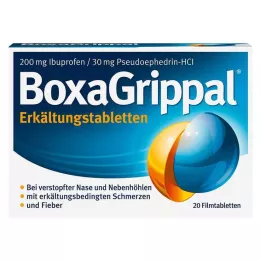 BOXAGRIPPAL Comprimidos fríos 200 mg/30 mg FTA, 20 uds