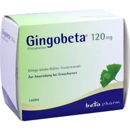 GINGOBETA 120 mg comprimidos recubiertos con película, 120 uds
