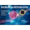 Thomapirina TENSION DUO 400 mg / 100 mg comprimidos recubiertos con película, 12 piezas