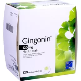 GINGONIN 120 mg cápsulas duras, 120 uds