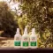 Care Plus Anti Insectos 50% Deet Spray, 200 ml