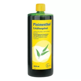 PINIMENTHOL Baño frío a partir de 12 años, 1000 ml