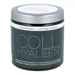 COLLHYALEEN Polvo para solución oral, 180 g
