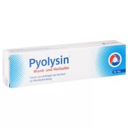 PYOLYSIN Pomada cicatrizante, 50 g