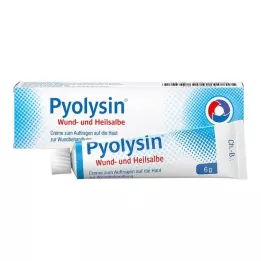 PYOLYSIN Pomada cicatrizante, 6 g