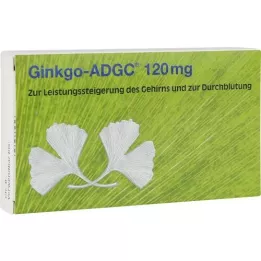 GINKGO ADGC 120 mg comprimidos recubiertos con película, 20 uds