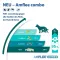 AMFLEE combo 67/60,3mg Solución oral para perros 2-10kg, 3 pcs