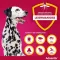 Advantix Spot-on solución perro 40 - 60 kg, 4X6,0 ml