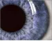 Instructions for use for Systane gotas para los ojos completas, 5 ml - 7