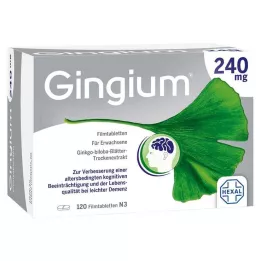 GINGIUM 240 mg comprimidos recubiertos con película, 120 uds