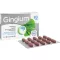 GINGIUM 80 mg comprimidos recubiertos con película, 30 uds