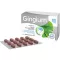 GINGIUM 80 mg comprimidos recubiertos con película, 120 uds