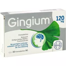 GINGIUM 120 mg comprimidos recubiertos con película, 30 uds