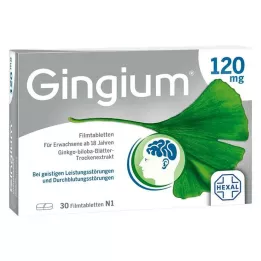 GINGIUM 120 mg comprimidos recubiertos con película, 30 uds