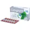 GINGIUM 120 mg comprimidos recubiertos con película, 60 uds