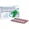 GINGIUM 120 mg comprimidos recubiertos con película, 60 uds