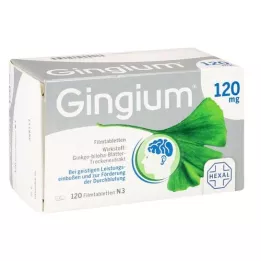 GINGIUM 120 mg comprimidos recubiertos con película, 120 uds