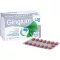 GINGIUM 120 mg comprimidos recubiertos con película, 120 uds