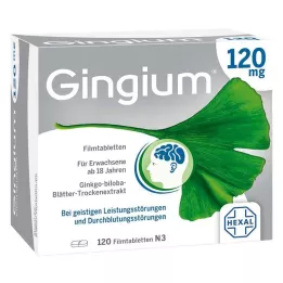 GINGIUM 120 mg comprimidos recubiertos con película, 120 uds
