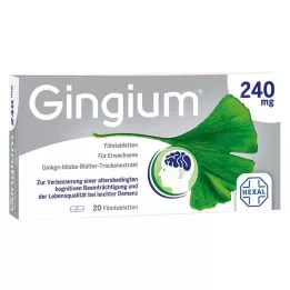 GINGIUM 240 mg comprimidos recubiertos con película, 20 uds