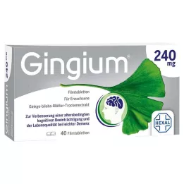 GINGIUM 240 mg comprimidos recubiertos con película, 40 unidades