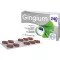 GINGIUM 240 mg comprimidos recubiertos con película, 60 uds