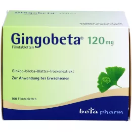 GINGOBETA 120 mg comprimidos recubiertos con película, 100 uds