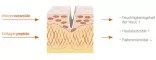 Instructions for use for Ampollas de impulso A4, 28 piezas - 4