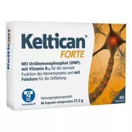 KELTICAN forte Cápsulas, 80 Cápsulas