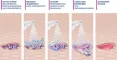 Instructions for use for Spray limpiador de heridas MediGel®, 50 ml - 6