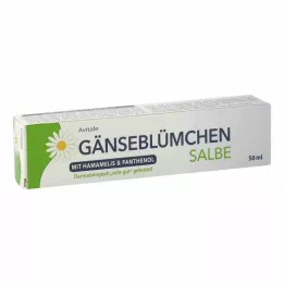 GÄNSEBLÜMCHEN Pomada con hamamelis &amp; Pantenol, 50 ml