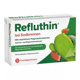 REFLUTHIN para el ardor de estómago comprimidos masticables fruta, 48 uds