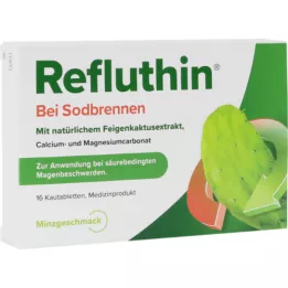 REFLUTHIN para el ardor de estómago comprimidos masticables menta, 16 uds