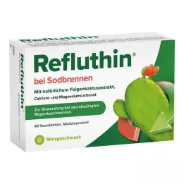 REFLUTHIN para el ardor de estómago comprimidos masticables menta, 48 uds