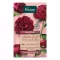 KNEIPP Cristales de Baño Pequeño Saludo del Corazón, 60 g