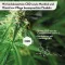 RUBAXX Cannabis CBD Gel, 120 g