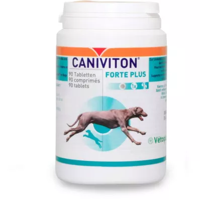 CANIVITON Forte Plus Erg.Futterm.Tbl.f.Perro/Gato, 90 unid