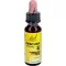 BACHBLÜTEN Original Rescura Pets Tro.alk.frei vet., 10 ml