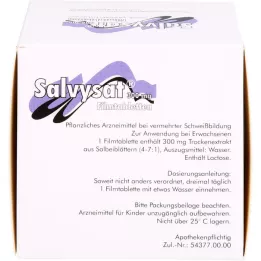 SALVYSAT 300 mg comprimidos recubiertos con película, 90 uds