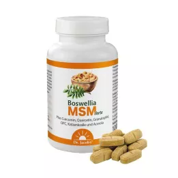 BOSWELLIA MSM comprimidos forte Dr.Jacobs, 90 uds