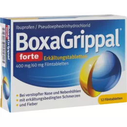 BOXAGRIPPAL forte Cold Tab. 400 mg/60 mg FTA, 12 unid