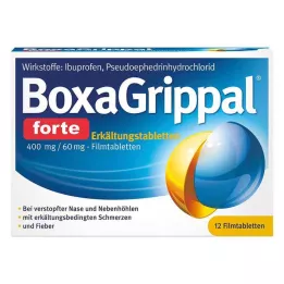 BOXAGRIPPAL forte Cold Tab. 400 mg/60 mg FTA, 12 unid