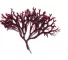 Instructions for use for Gel de cuidado de retoque anti-frizz Phytodefrisant, 50 ml - 4